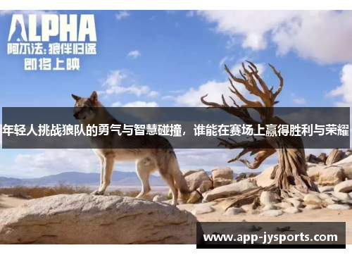 年轻人挑战狼队的勇气与智慧碰撞，谁能在赛场上赢得胜利与荣耀